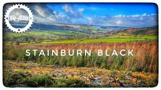 Stainburn Forest (Black Loop)