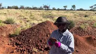 Zircon Hunting, Gemtree, Plenty Hwy, Red Centre, Northern Territory