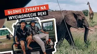Safari w Tanzanii - Czy warto wydać kilkaset dolarów na wizytę w Serengeti?