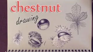 Chestnut Drawing | outdoor sketching