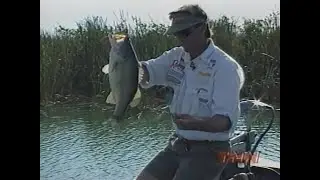 The Bassmasters - Bernie Schultz (1999)