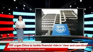 IMF urges China to tackle financial risks in 'clear and coordinated' fashion