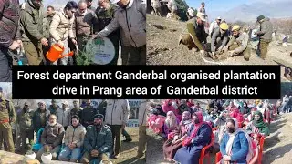 Forest department Ganderbal organised plantation drive in Prang area of central kashmirs Ganderbal