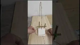 Making animal traps is easy ,#shorts
