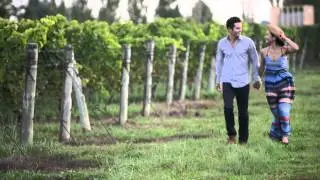 Niagara Vintage Wine Tours