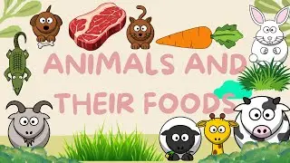 Animals and their food: meat, deer, fish, carrot, grass - Animals