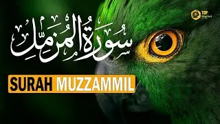 Surah Muzzammil (Mazamil) Beautiful Voice | Al Shuraim #surahmuzzamil
