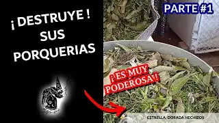 POCION QUITA 💥 BRUJERIAS, SALACIONES y TRABAJOS 🚫 de tu CASA, NEGOCIO y OFICINA (PARTE #1)