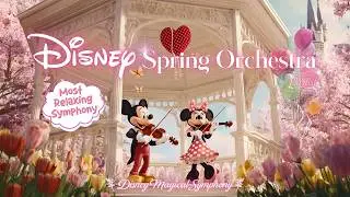 🎻 Soft Disney Spring Orchestral 2026 🌸 For Study & Focus 🌿 Magical Disneyland Gazebo