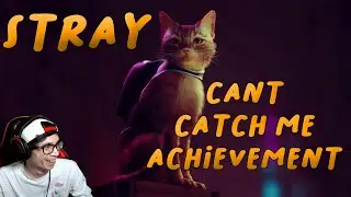 Достижение Stray Cant Catch Me &mdash; &laquo;Гид&raquo; (Глава 2, Мёртвый город)