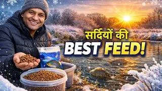 सर्दियों में मछलियों के लिए BEST FEED😱 | Winter Fish Feed Tips #machlipalan #winterfishfarming #fish