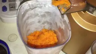 慢磨機渣汁分離 胡蘿蔔汁 甘筍汁