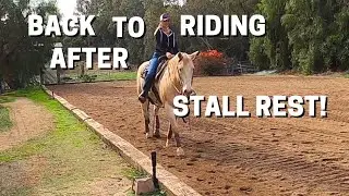BACK TO RIDING AFTER STALL REST How to keep a horse's mind busy.