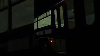 Dina Capre Metrobus Sistema Troncal