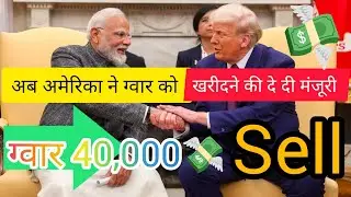 अनाज मंडी भाव| 28/12/2025 आज नरमा कपास ग्वार मूंगफली धान में आई बम्पर तेजी| सभी फसलों के ताजा भाव  