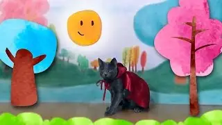 CAT TALES - Little Red Riding Hood