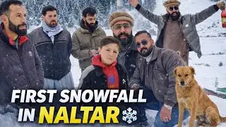 First Snowfall in Naltar Valley | Winter Beauty of Gilgit Baltistan ❄️