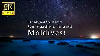 The Magical Sea of Stars on Vaadhoo Island! Maldives!