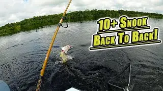 BIG Snook In The River! | Fishing The Caloosahatchee.