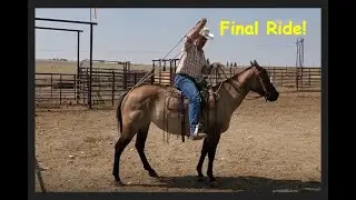 Georgie - Final Video | Horse Training | Hashknife Horses