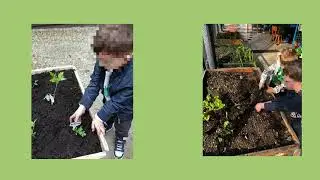 Iva Antolović Golenja, Kindergarten Vedri dani, Croatia