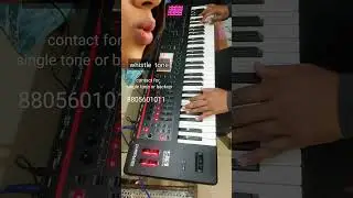 whistle tone in Roland fantom 06 contact 8805601011