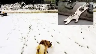 Зимняя прогулка с Лео!! &mdash; брелок Gerber Shard! | TheSmoaks Vlog_390