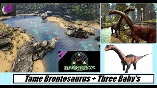 ARK Survival Ascended: Tame brontosaurus + three baby's / MAP: RAGNAROK / MHG 4K # 7