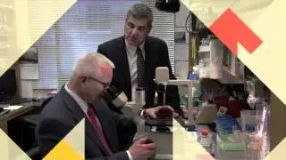 SU2C: 2010 Pancreatic Cancer Dream Team