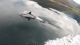 The Small Isles and a dolphin or two...  Loch Hourn to Muck