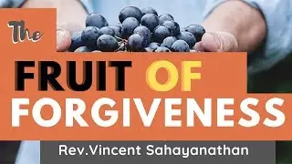 The Fruit of Forgiveness | மன்னிப்பின் கனி  | Rev.Vincent Sahayanathan
