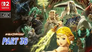 Part 36 - Overcoming Loss | Hyrule Warriors: Age of Imprisonment | Gameplay