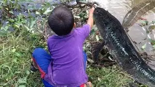 Amazing Children Catch Fish By Hand  | Traditional  Awesome Documentary Trap Fishing Fish