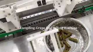Grape Leaf Rolling Machine