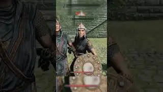 rip guard #skyrim #elderscrolls #theelderscrolls #glitch #clips