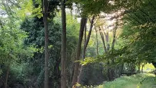 recurpost.com