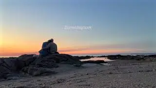 Zomerdagboek