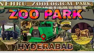 ZOO PARK 🐘🐼🐯 Hyderabad || KING KASTALU || TELUGU VLOG || MANOHITH MOGUTHALA || TFI ACTOR || 🎬🎭