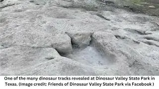 One of the longest dino tracks in the world revealed by drought in Texas state park