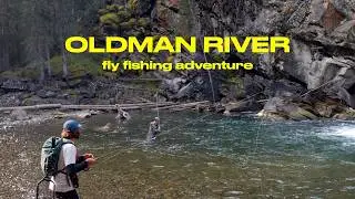 Fly Fishing the Oldman River | Wild Cutthroat, Dry Flies & Mountain Water #alberta #fishing #trout
