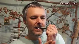 Jaw harp - Holotropoverse, a unique Jaw Harp for advanced players - Key E1, Full review.