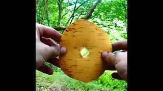 How to make a torch with resin and coal #bushcraft #diy #homemade #survival #outdoors #fire #shorts🔥