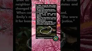 A BROKEN BRACELET CRACKED A 21-YEAR CASE