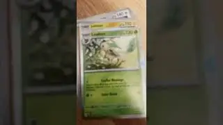 Brainrot in pokemon form