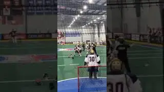 Lacrosse fights  Gavin  Skye ￼