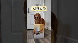 Trying a Smart Pet Feeder! #pawsyncfamily #pawsync #tech #pets