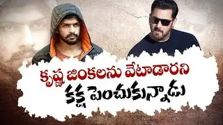 Salman Khan Threat News|  Actor Salman Khan Gets Another Death Threat | Wise Monkeys Media
