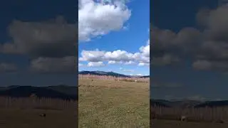 Окрестности Иволгинского дацана. Республика Бурятия