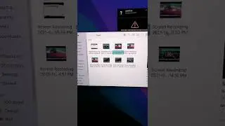 Mac memory issue￼ Ravenfield￼?