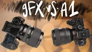 Sony A1 with 50/1.2GM vs Fujifilm GFX100S with 80/1.7